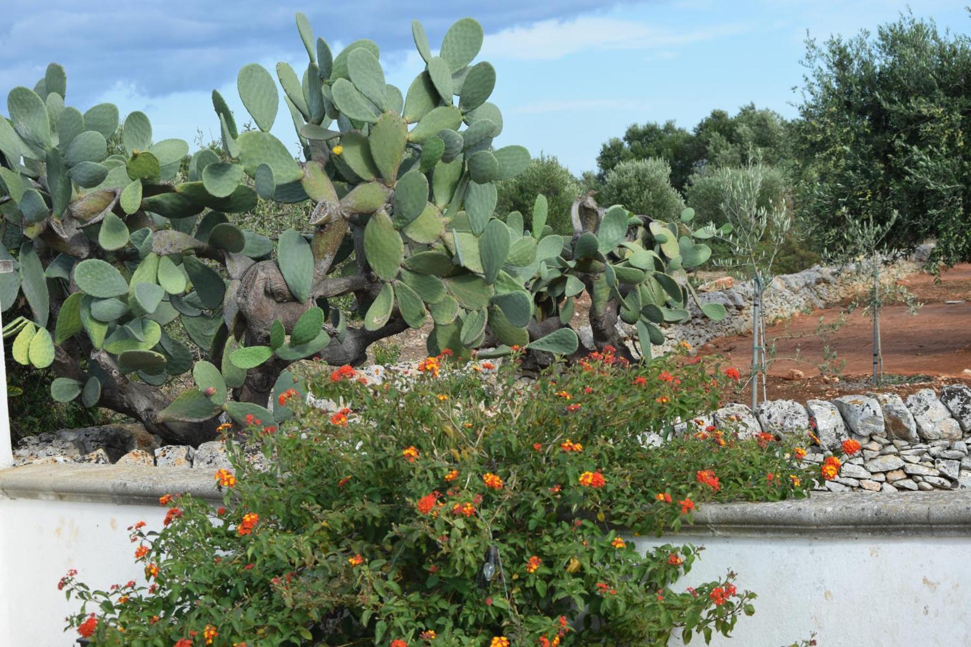 Villa Mimi Ostuni Ngoại thất bức ảnh